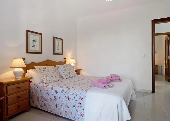 Palmeras Villa